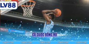 Cá cược bóng rổ