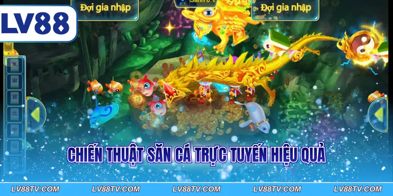 Chiến thuật săn cá trực tuyến hiệu quả